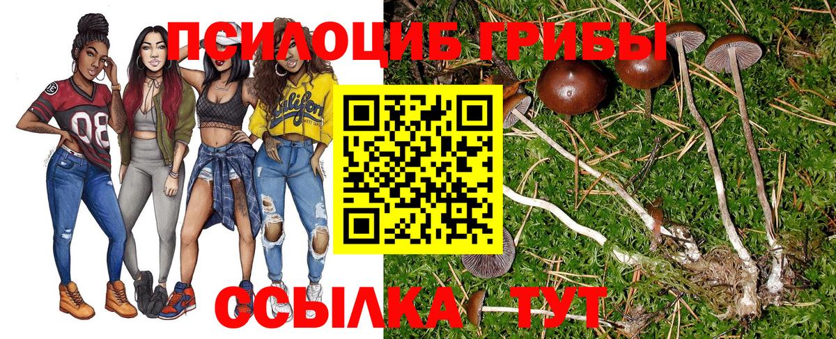 Саратов  где купить наркоту  Вход с VPN  Галлюциногенные грибы Magic Shrooms  Псилоцибиновые грибы Psilocybine cubensis 